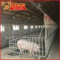 养殖料线 养殖料塔 畜牧业设备厂家
